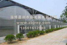 多肉植物棚廠(chǎng)家分享：多肉在園林的應(yīng)用