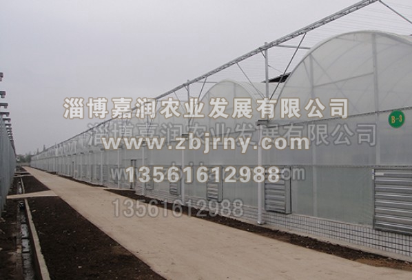 連棟溫室工程